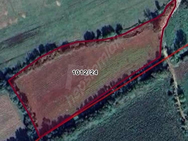 REMAX DESİGN KAYNARCA İŞARET MAHALLESİ 6856 M2 SATILIK TARLA - Görsel 5