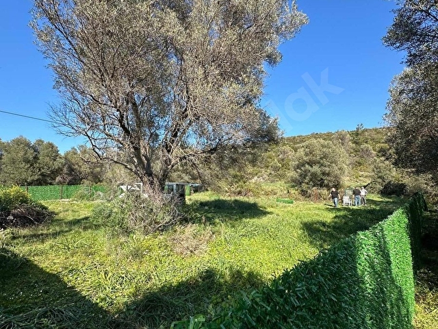 İzmir Urla balıklıova 550 m2 hisseli tarla - Görsel 13