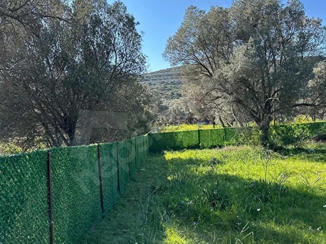 İzmir Urla balıklıova 550 m2 hisseli tarla - Görsel 7