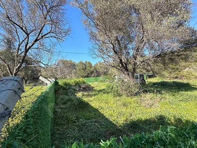İzmir Urla balıklıova 550 m2 hisseli tarla - Görsel 12