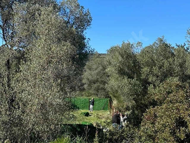 İzmir Urla balıklıova 550 m2 hisseli tarla - Görsel 2