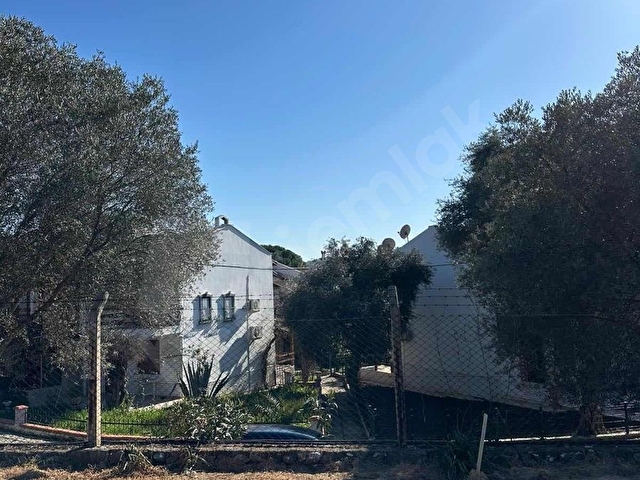 İzmir Urla balıklıova 550 m2 hisseli tarla