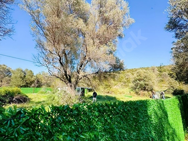 İzmir Urla balıklıova 550 m2 hisseli tarla - Görsel 4