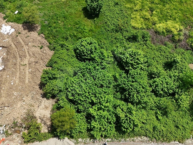 KW METSADAN DERELİ TÜTÜNCÜ MAHALLESİNDE SATILIK ARSA - Görsel 15