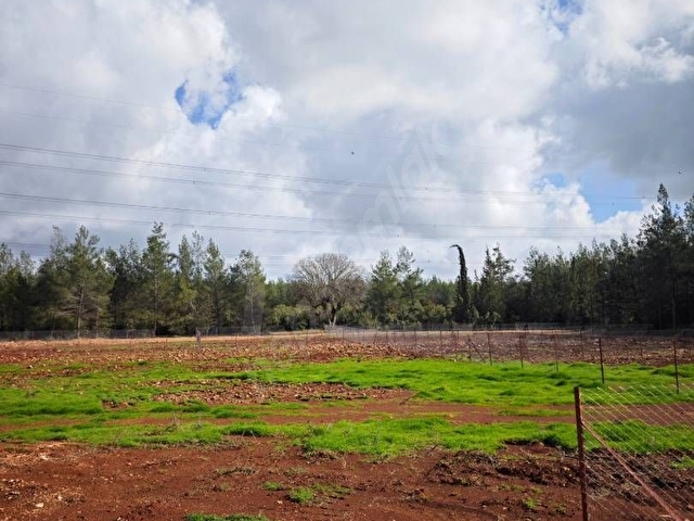 ANTALYA KIZILLI SATILIK 2B ARSA - Görsel 8