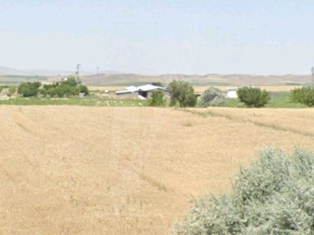 SAHİBİNDEN TEK TAPU TARLA - Görsel 5