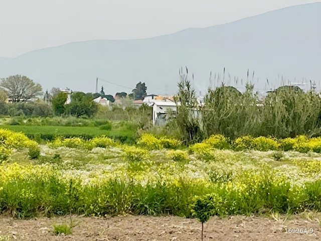 TÜRKELLİDE 5 KİŞİ VEYA TEK KİŞİ ALABİLİR ÇİFT TARAF YOL CEPHELİ - Görsel 9