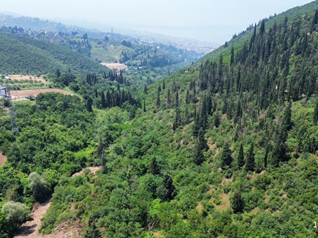 FURKAN DEMİRDEN KARAMÜRSEL TEPEKÖYDE 2879 M2 SATILIK TARLA - Görsel 2
