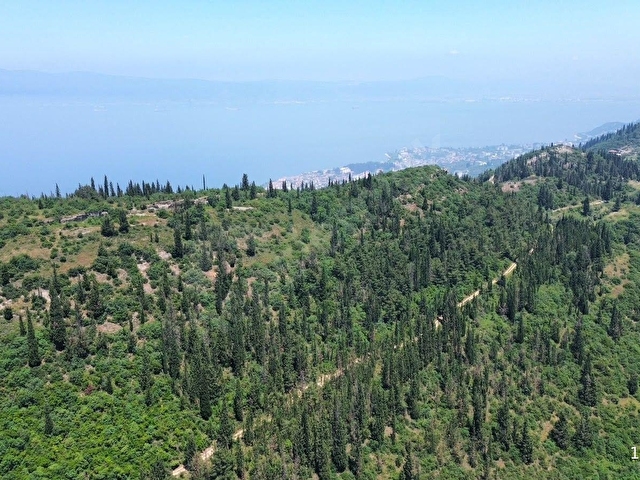 FURKAN DEMİRDEN KARAMÜRSEL TEPEKÖYDE 2879 M2 SATILIK TARLA - Görsel 7