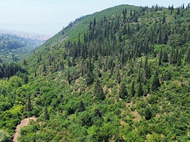 FURKAN DEMİRDEN KARAMÜRSEL TEPEKÖYDE 2879 M2 SATILIK TARLA