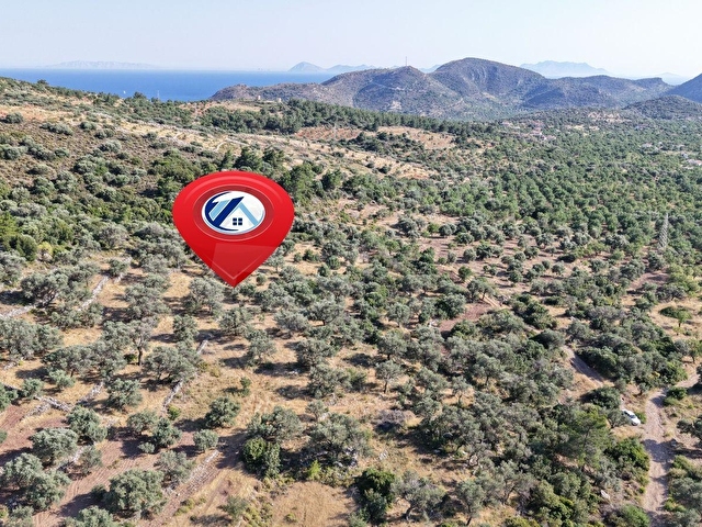 Datça Yaka Mah. Zeytinlik Satılık 5.089 m² - Görsel 5