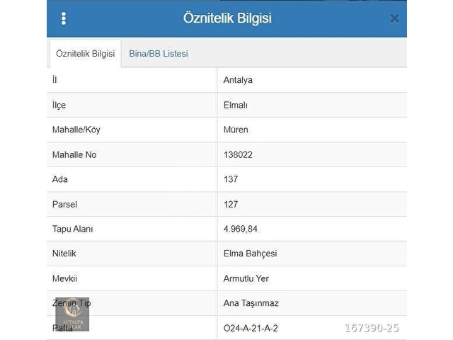 Elmalı Mürende Satılık Tarla | Kaçmaz Fırsat!