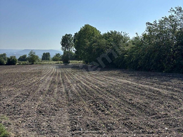 BALCİTY-Bursa Mustafakemalpaşa Hacıali mahallesi 17 Dönüm Arazi - Görsel 17
