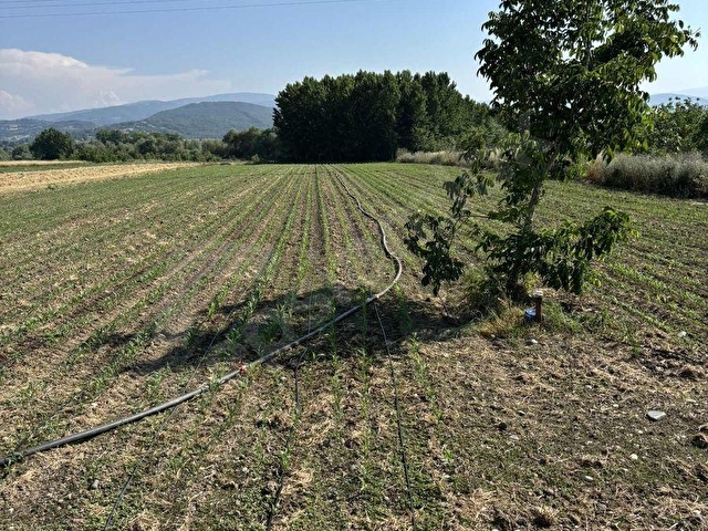 BALCİTY-Bursa Mustafakemalpaşa Hacıali mahallesi 17 Dönüm Arazi - Görsel 13