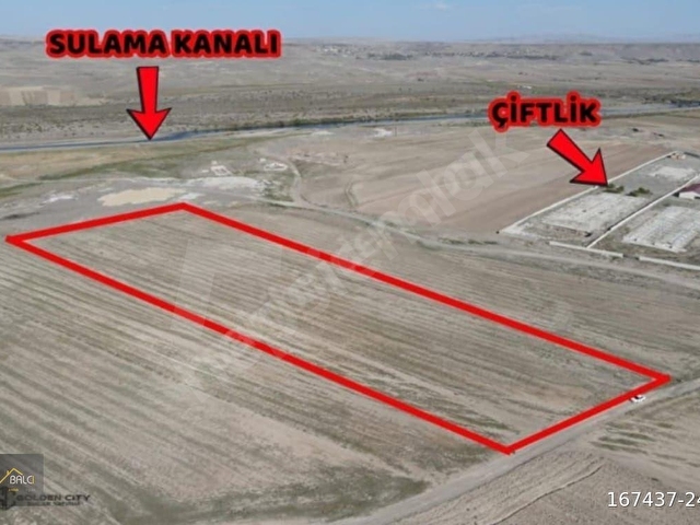 BALCI EMLAKTAN SATILIK ABUŞAĞI KÖYÜNDE TARLA - Görsel 3
