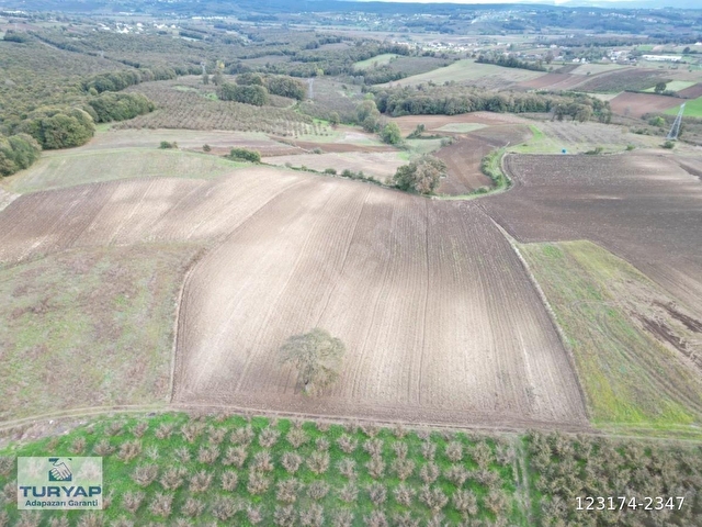 KAYNARCA KAYACIK TA ÇİFTLİK YAPIMINA UYGUN 19.736 M² ARAZİ - Görsel 3