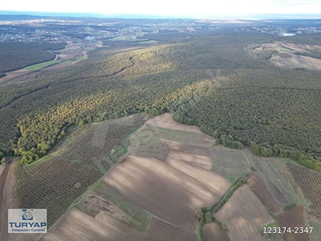 KAYNARCA KAYACIK TA ÇİFTLİK YAPIMINA UYGUN 19.736 M² ARAZİ - Görsel 17
