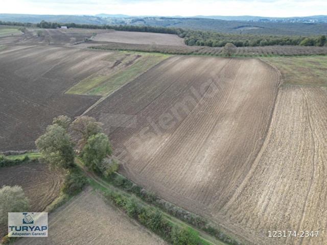KAYNARCA KAYACIK TA ÇİFTLİK YAPIMINA UYGUN 19.736 M² ARAZİ - Görsel 9