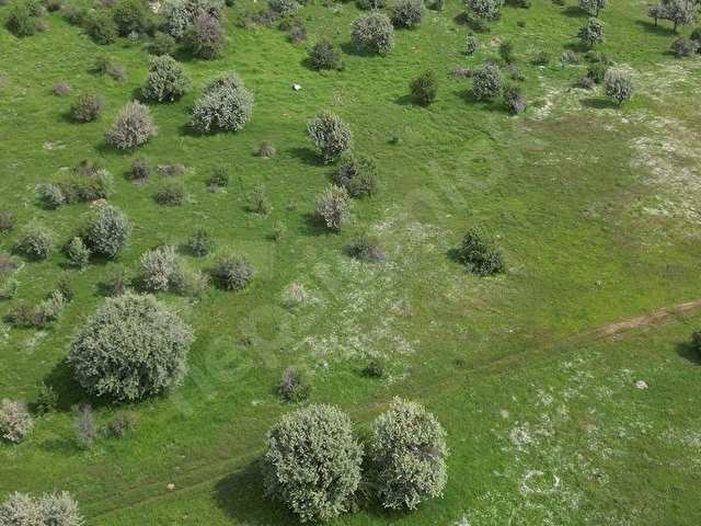 BÖLGE UZMANI Recep OLGUNdan 494 m2 VİLLALAR BÖLGESİNE YAKIN - Görsel 12