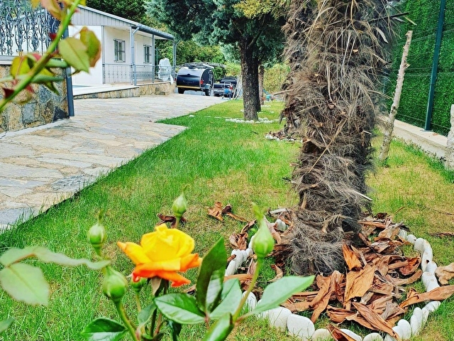 MERT GAYRİMENKULDEN ŞİLEDE MÜSTAKİL HAVUZLU KİRALIK VİLLA - Görsel 24