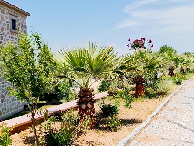 AYVALIK KONAK EMLAKTAN TIFILLAR MAHALLESİ SATILIK 686 M2 ARSA - Görsel 7