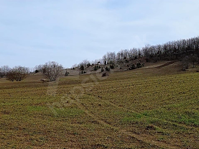 ELEKTRİĞİ VE YOLU ÖNÜNDE,ARKASI ORMAN,16 DÖNÜM %5 İMARLI ARAZİ - Görsel 16