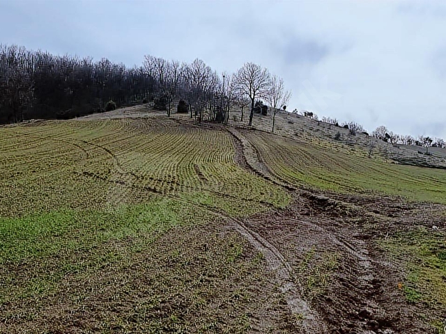 ELEKTRİĞİ VE YOLU ÖNÜNDE,ARKASI ORMAN,16 DÖNÜM %5 İMARLI ARAZİ - Görsel 7
