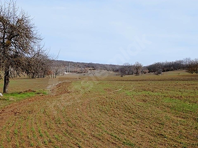 ELEKTRİĞİ VE YOLU ÖNÜNDE,ARKASI ORMAN,16 DÖNÜM %5 İMARLI ARAZİ - Görsel 3