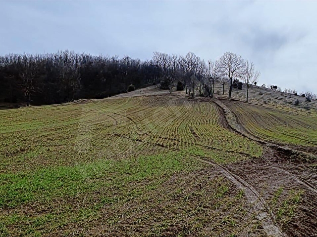 ELEKTRİĞİ VE YOLU ÖNÜNDE,ARKASI ORMAN,16 DÖNÜM %5 İMARLI ARAZİ - Görsel 4