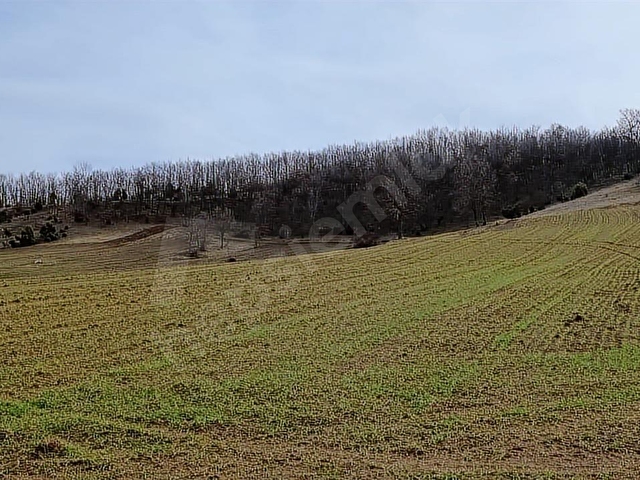 ELEKTRİĞİ VE YOLU ÖNÜNDE,ARKASI ORMAN,16 DÖNÜM %5 İMARLI ARAZİ - Görsel 15