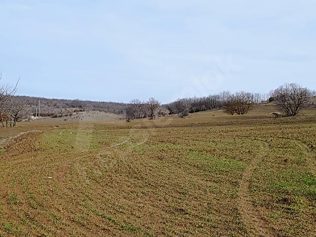 ELEKTRİĞİ VE YOLU ÖNÜNDE,ARKASI ORMAN,16 DÖNÜM %5 İMARLI ARAZİ - Görsel 23