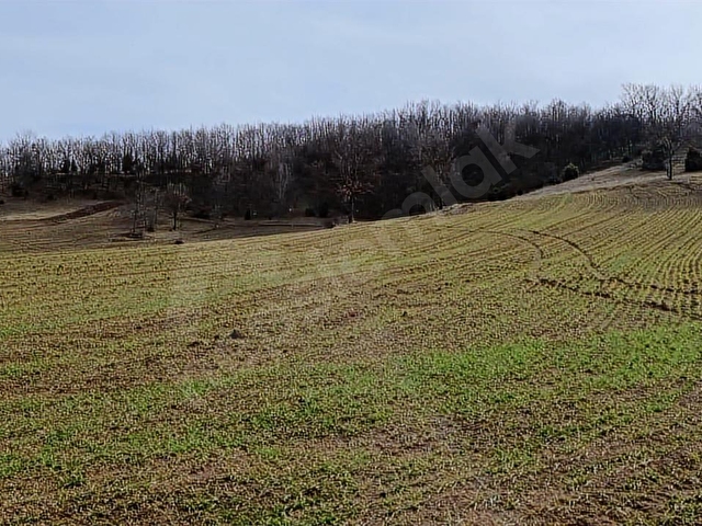 ELEKTRİĞİ VE YOLU ÖNÜNDE,ARKASI ORMAN,16 DÖNÜM %5 İMARLI ARAZİ - Görsel 2