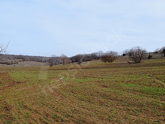 ELEKTRİĞİ VE YOLU ÖNÜNDE,ARKASI ORMAN,16 DÖNÜM %5 İMARLI ARAZİ - Görsel 13