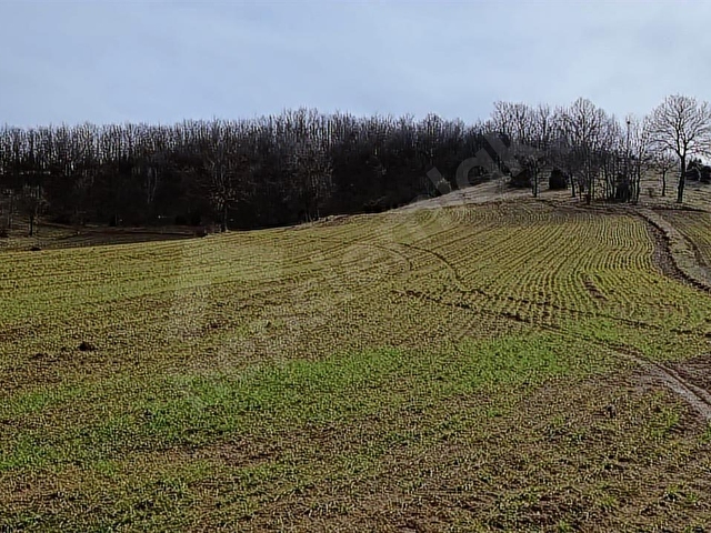 ELEKTRİĞİ VE YOLU ÖNÜNDE,ARKASI ORMAN,16 DÖNÜM %5 İMARLI ARAZİ - Görsel 5