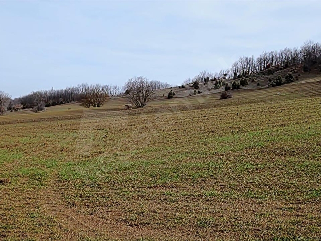 ELEKTRİĞİ VE YOLU ÖNÜNDE,ARKASI ORMAN,16 DÖNÜM %5 İMARLI ARAZİ - Görsel 25