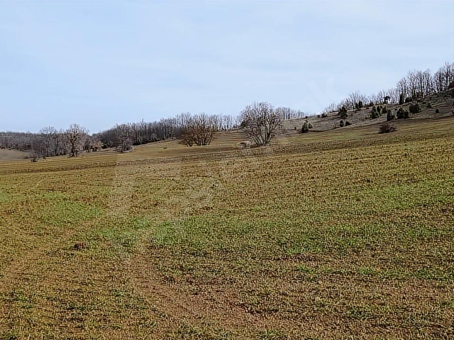 ELEKTRİĞİ VE YOLU ÖNÜNDE,ARKASI ORMAN,16 DÖNÜM %5 İMARLI ARAZİ - Görsel 22