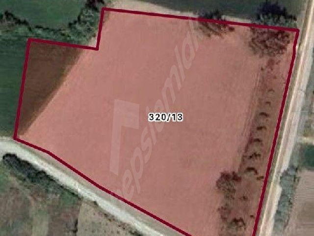 TOKAT /TURHAL NECİP KÖYÜ ANA YOLA YAKIN YOL KENARINDA SUYU ELEKTRİK VAR YAKIN EV YAP.18 ADET CEVİZ A - Görsel 6