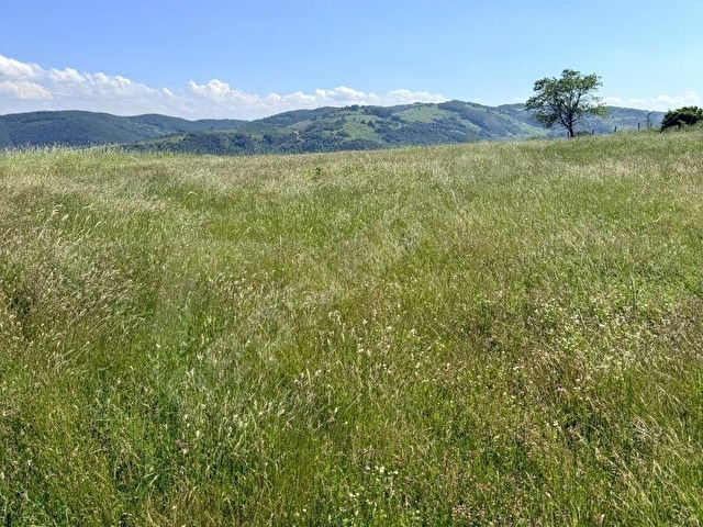 Bİ·NOVA DAN CANİK BAŞKONAK KÖYÜNDE SATILIK 5583 M² TARLA - Görsel 20
