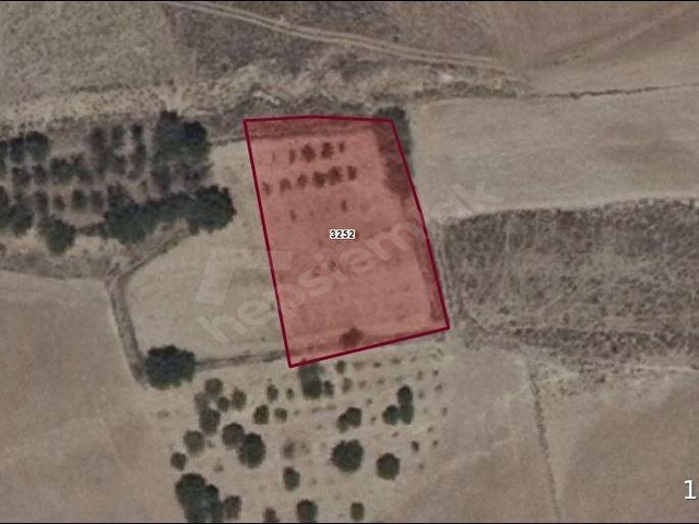 ISPARTA KEÇBORLU İNCESU KÖYÜNDE 2000M2. SATILIK TARLA