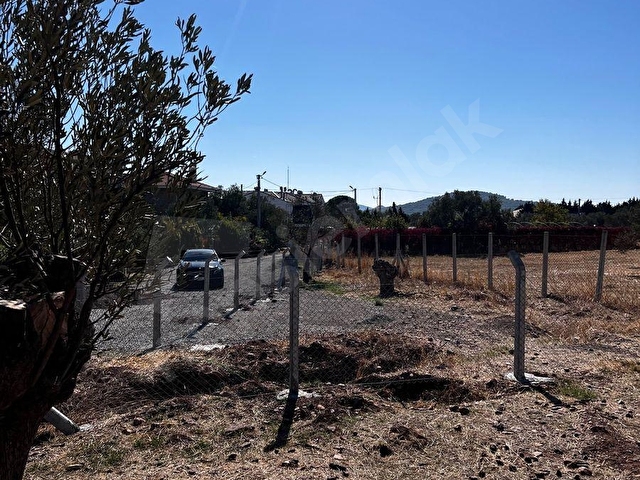 Ayvalık Cunda Adasında Sahibinden Satılık arsa , denize ve merkeze yakın uygun fiyata - Görsel 12