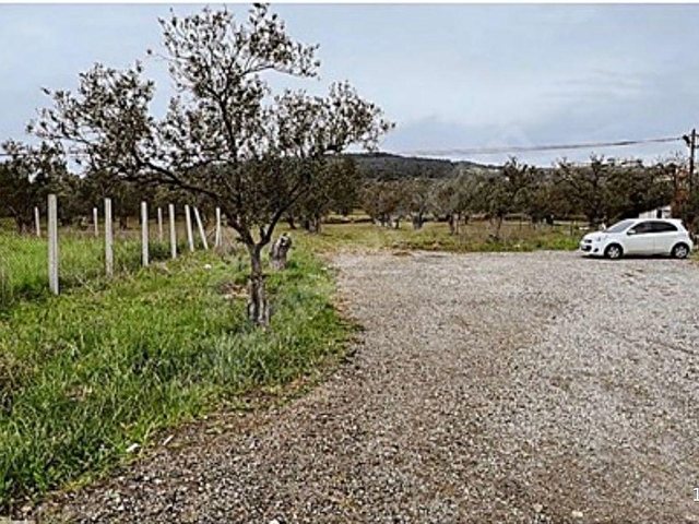 Ayvalık Cunda Adasında Sahibinden Satılık arsa , denize ve merkeze yakın uygun fiyata