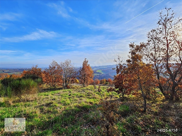 ÇANAKKALE ÇAN 12.850 M2 SATILIK ARAZİ