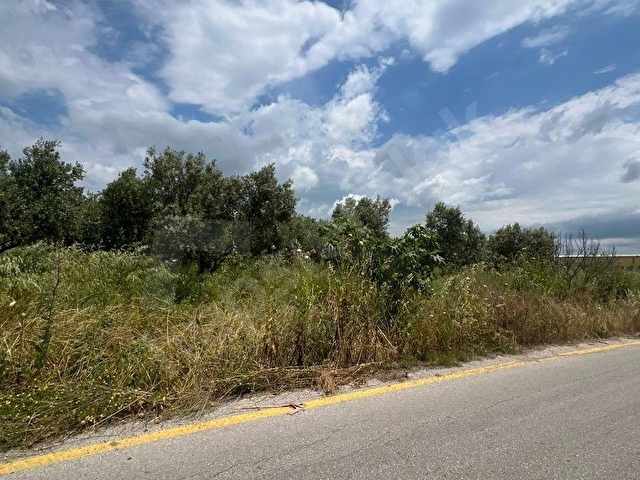 MANİSA TEKELİLER KÖYÜ ANA YOLA SIFIR 1.500m2 SATILIK TARLA - Görsel 4