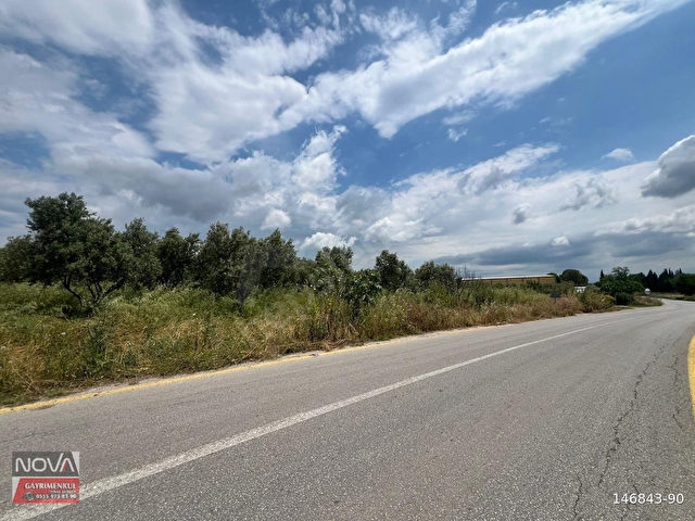 MANİSA TEKELİLER KÖYÜ ANA YOLA SIFIR 1.500m2 SATILIK TARLA - Görsel 7