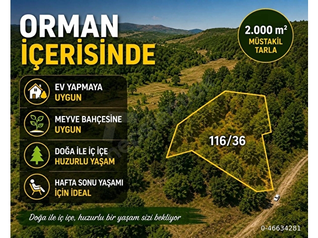 Orman İçerisinde, Huzurlu Konumda 2.000 m² Satılık Tarla