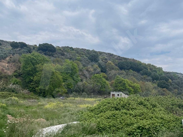 Eminden,Bandırma,Tatlısu,MÜSTAKİL,3 KATLI,3 AYRI BAĞIMSIZ BÖLÜM - Görsel 2