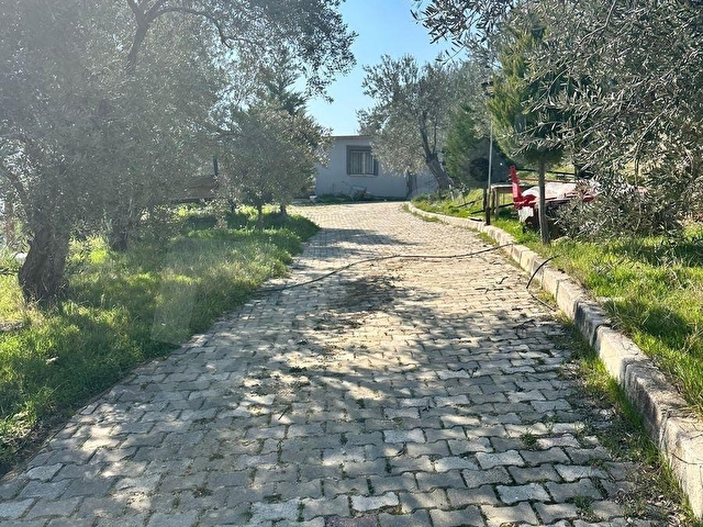 Cennet gibi bir yer Sancaklı İğdecik Mh. Satılık Evli Bahçe - Görsel 11