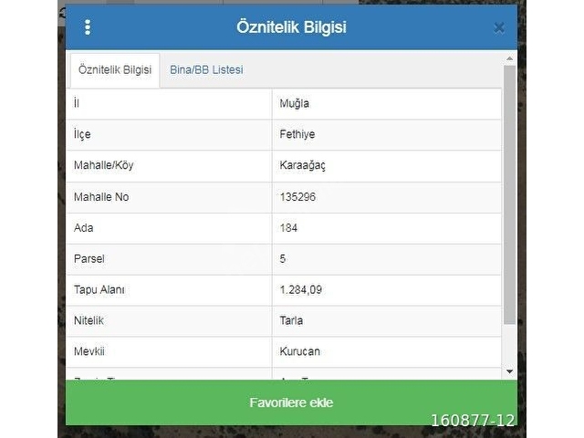 FETHİYE KARAAĞAÇ 1.284 M2 TARLA