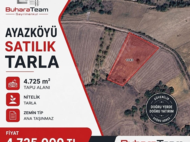 BURSA YENİŞEHİR AYAZKÖYÜNDE SATILIK 4.725m2 TARLA