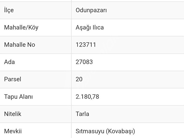 Eskişehir Aşağılıca Mahallesinde 2180 m2 Satılık Tarla - Görsel 2
